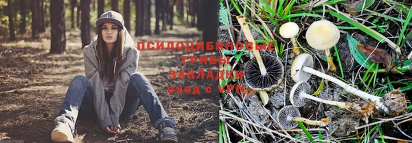 кокс Саяногорск