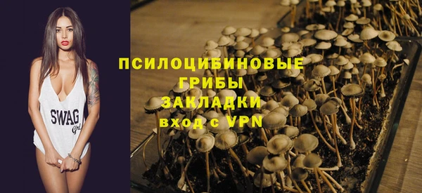 дживик Михайловск