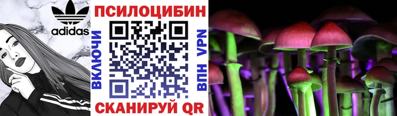 как найти закладки  Заозёрный  Галлюциногенные грибы GOLDEN TEACHER 